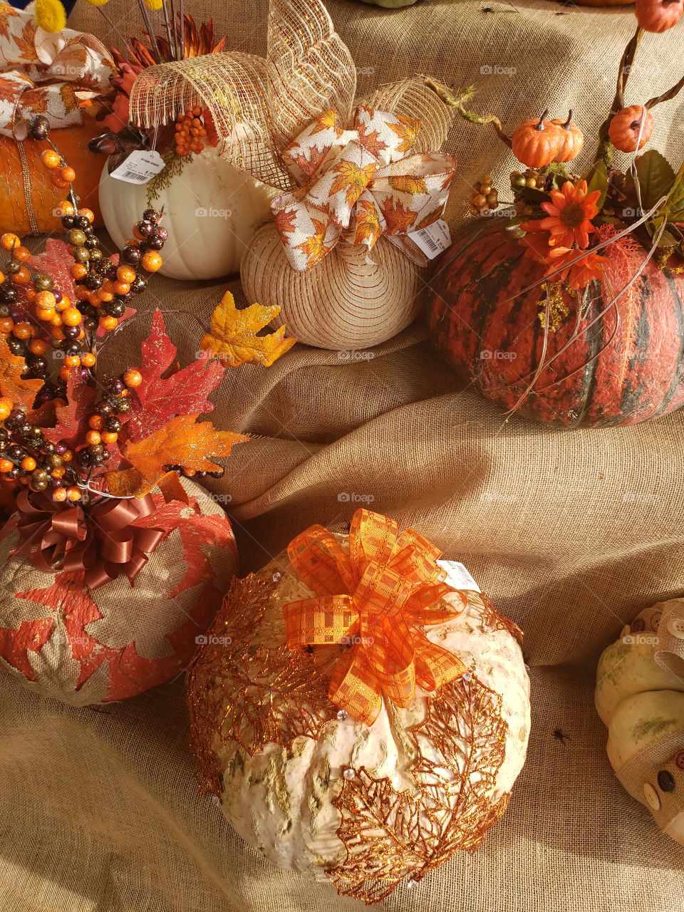 autumn colors pumpkins