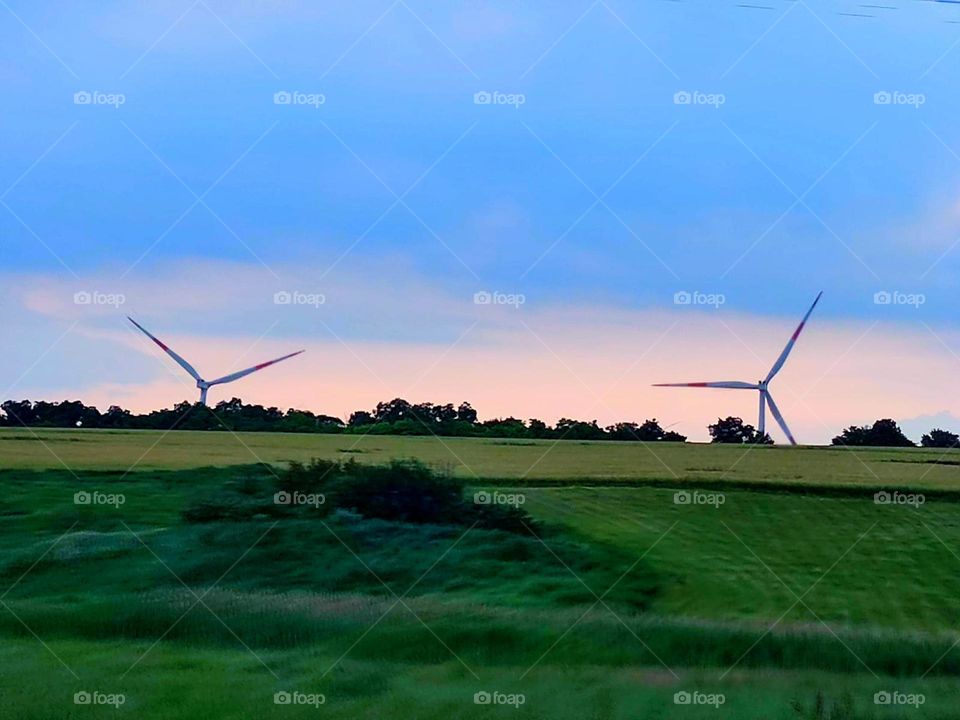 Countryside in summer.  Evening.  Sunset over green fields.  Against the backdrop of a pink sunset among the green trees are windmills