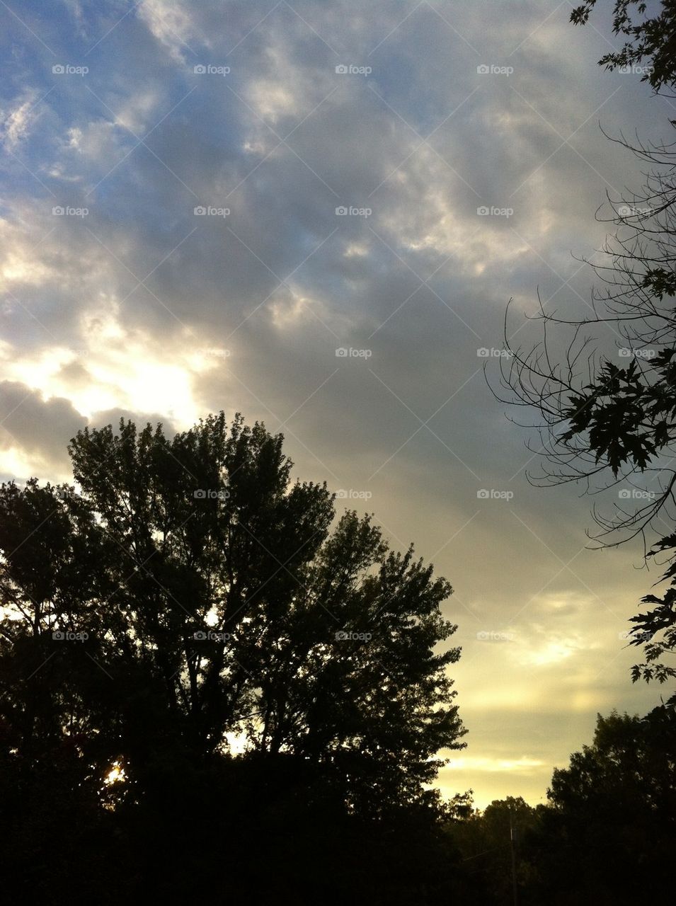 sky morning clouds trees by alyssah