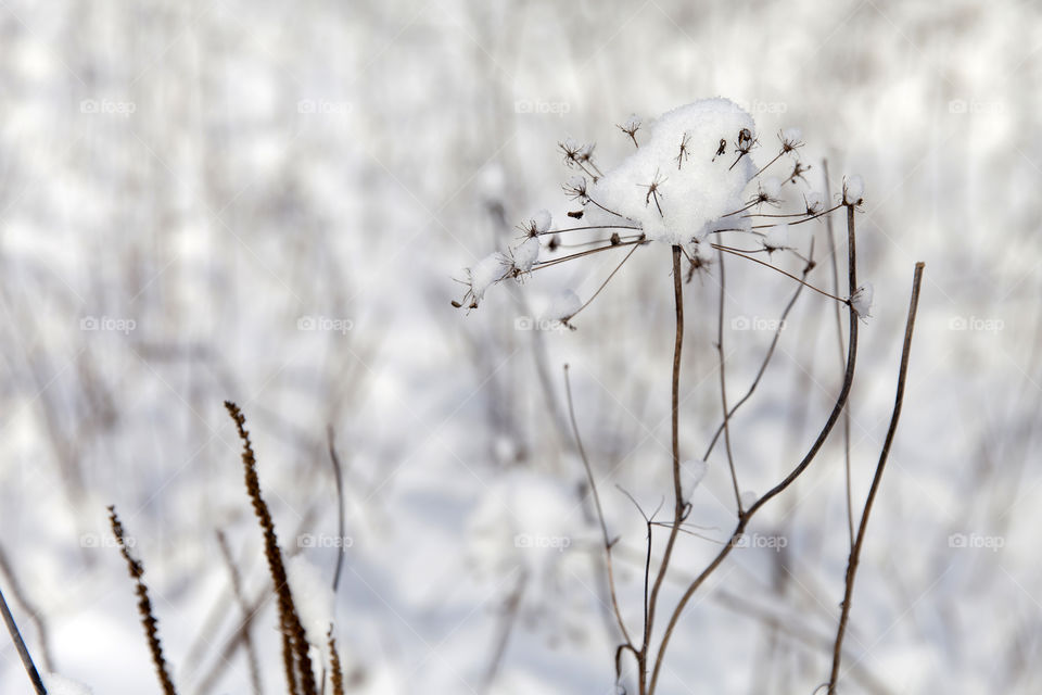 First signs of winter