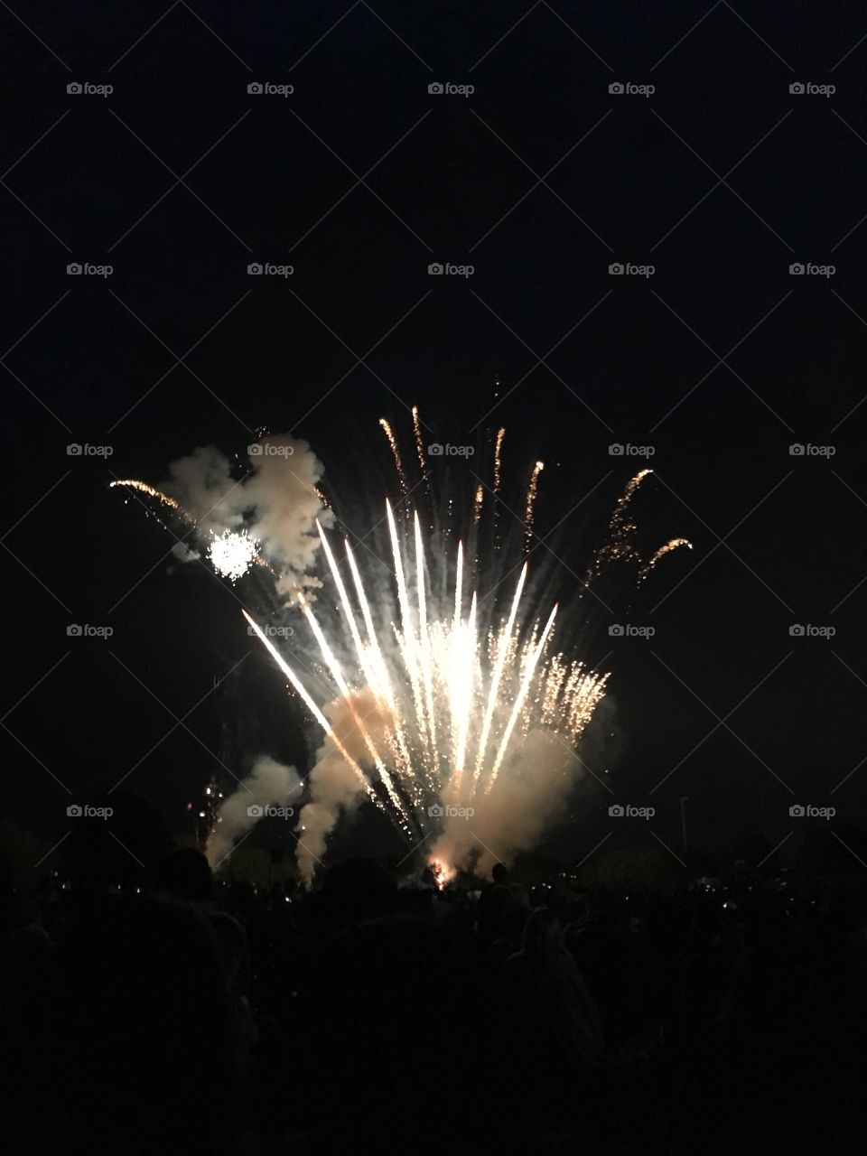 Fireworks exploding in the middle of the night.