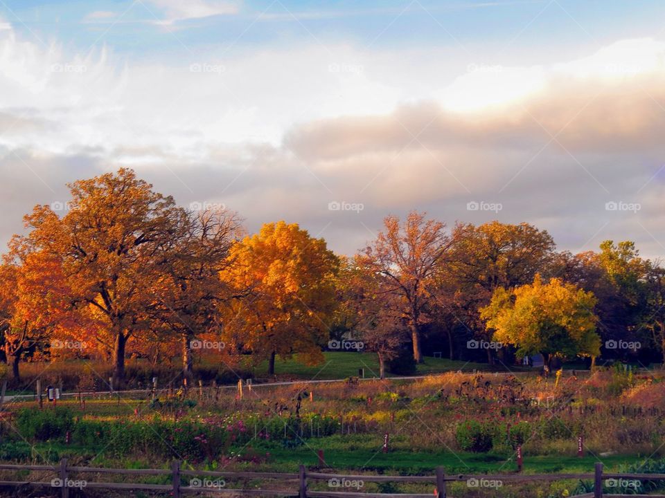 Autumn countryside