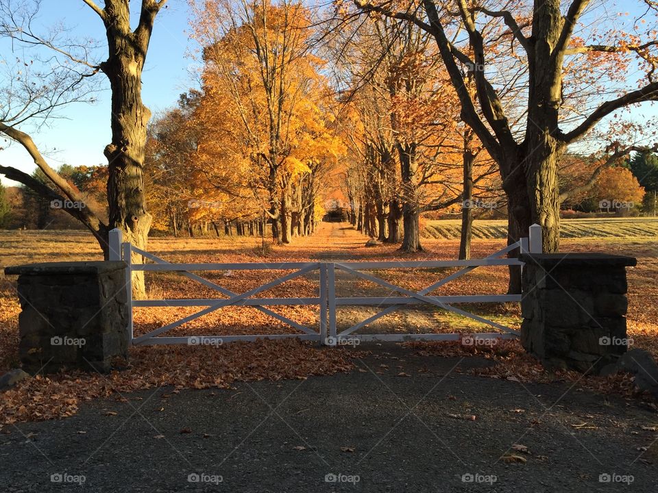 Brookwood Farm - Milton Massachusetts in Fall