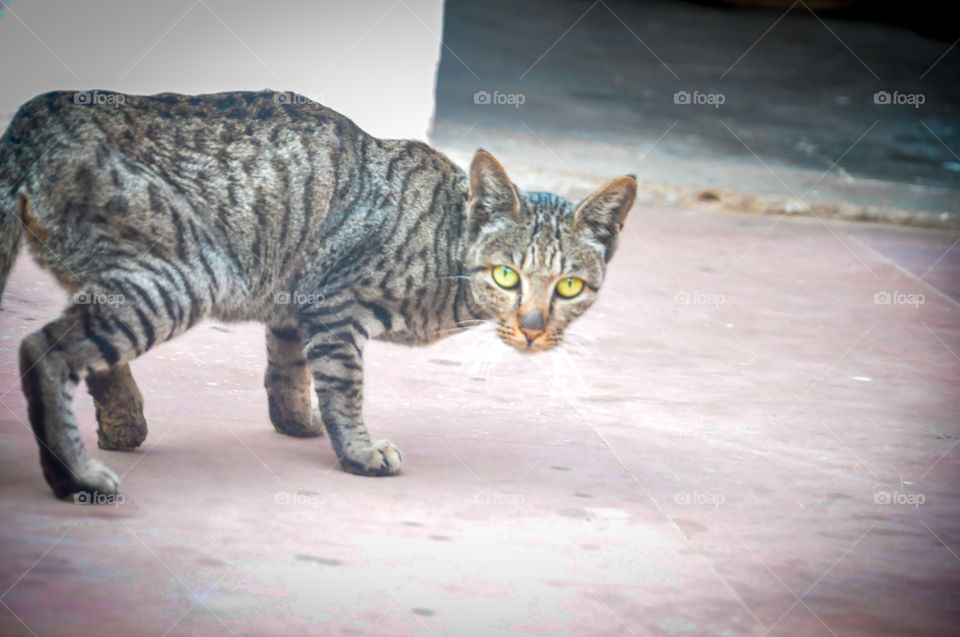 nature pictures  click by @divy.gahelot