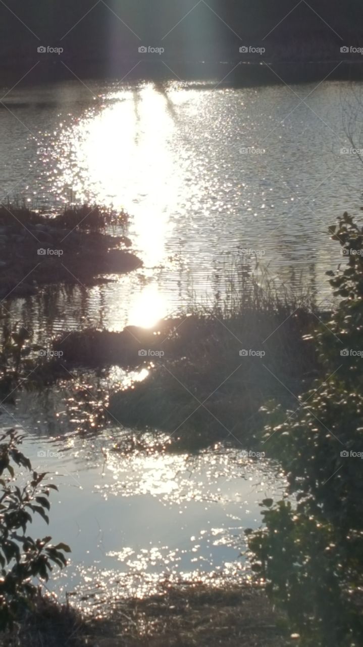 late afternoon sun on the water