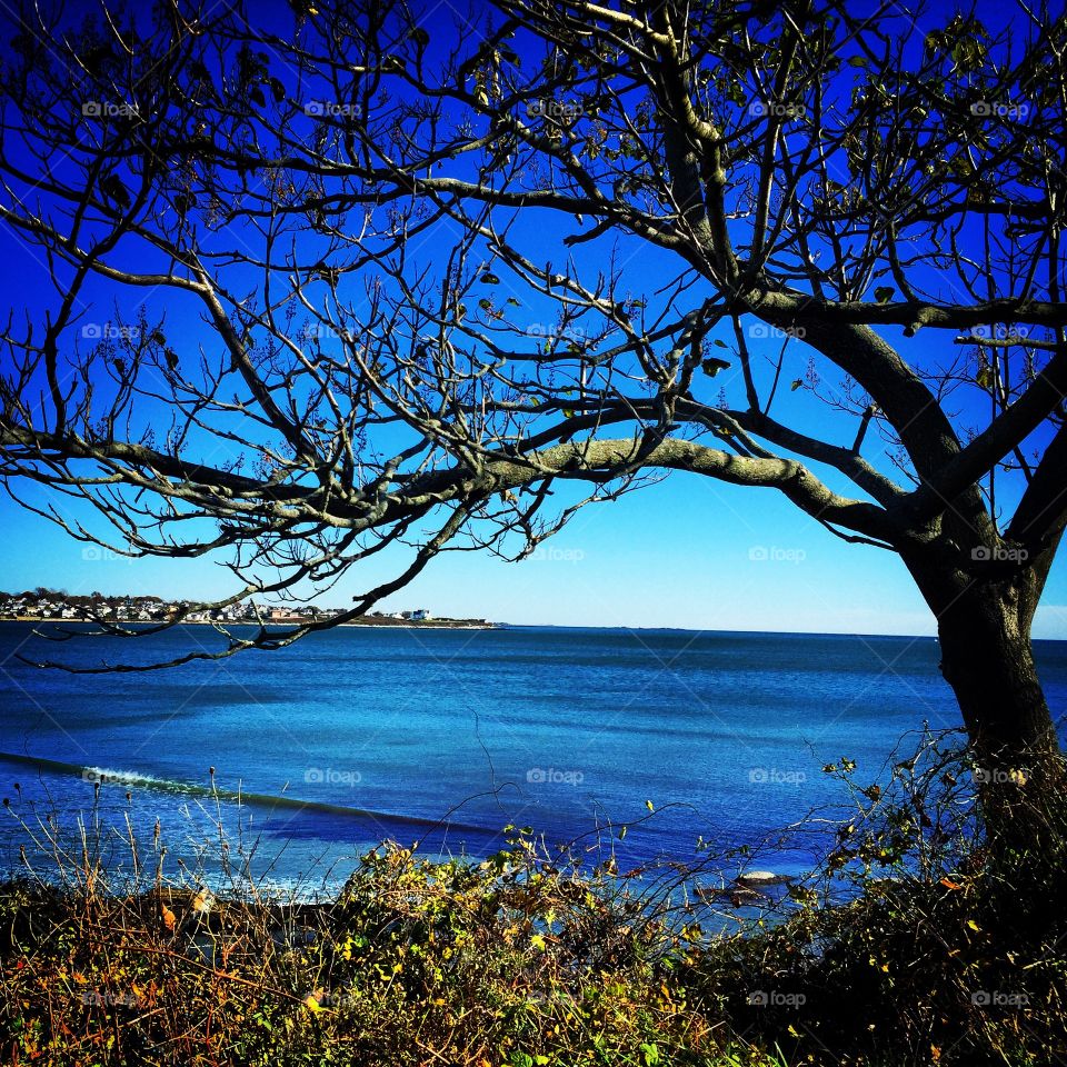 Cliff Walk, Newport, Rhode Island