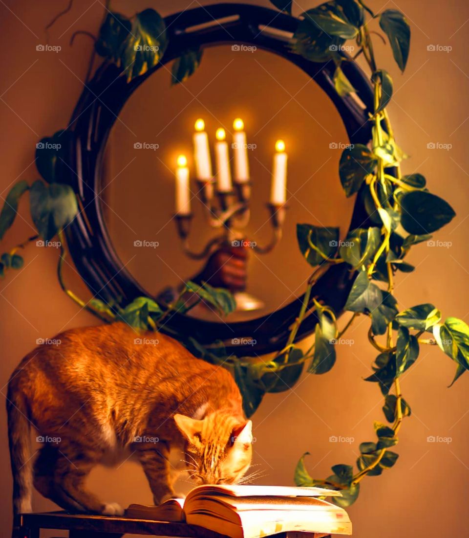 Vee loves the aesthetic scent of books so much