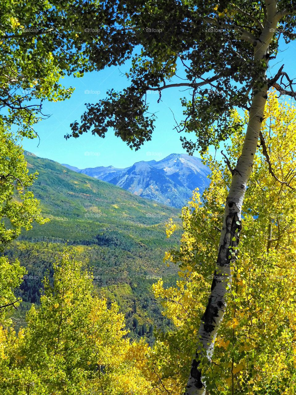 Majestic Rocky Mountains in the fall