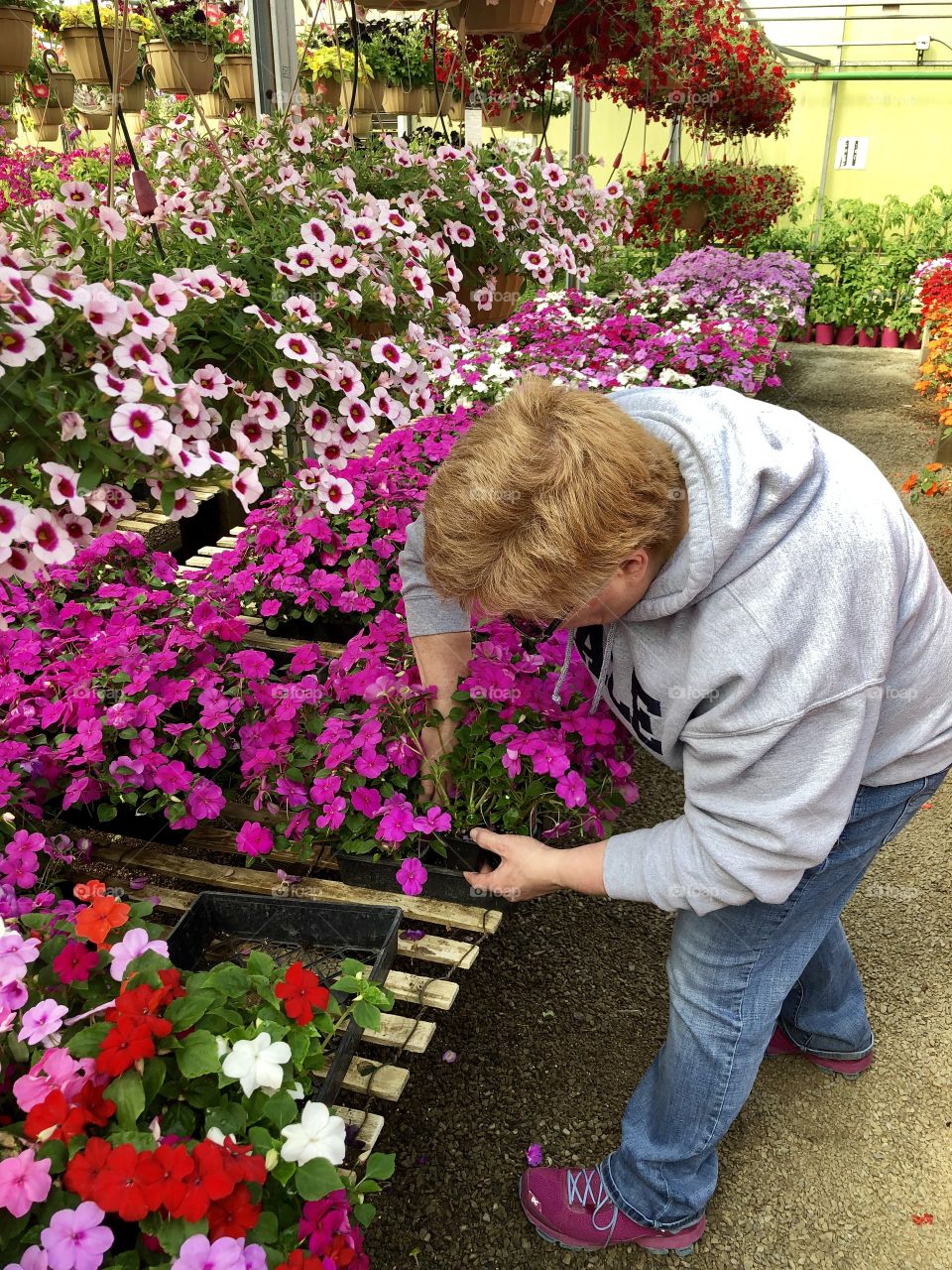 Selecting Flowers