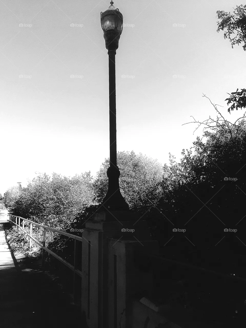 LIGHT MY WAY
