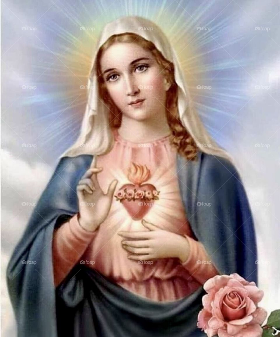 🙏 🇪🇸 Oh Maria, ruega por nosotros que recurrimos a ti.  Amén.  🇧🇷 Ó Maria, Nossa Senhora, rogai por nós que recorremos a vós. Amém. / 🇺🇸 O Mary, pray for us that we turn to you.  Amen. / 🇮🇹 O Madonna, prega per noi che ci rivolgiamo a te. Amen.