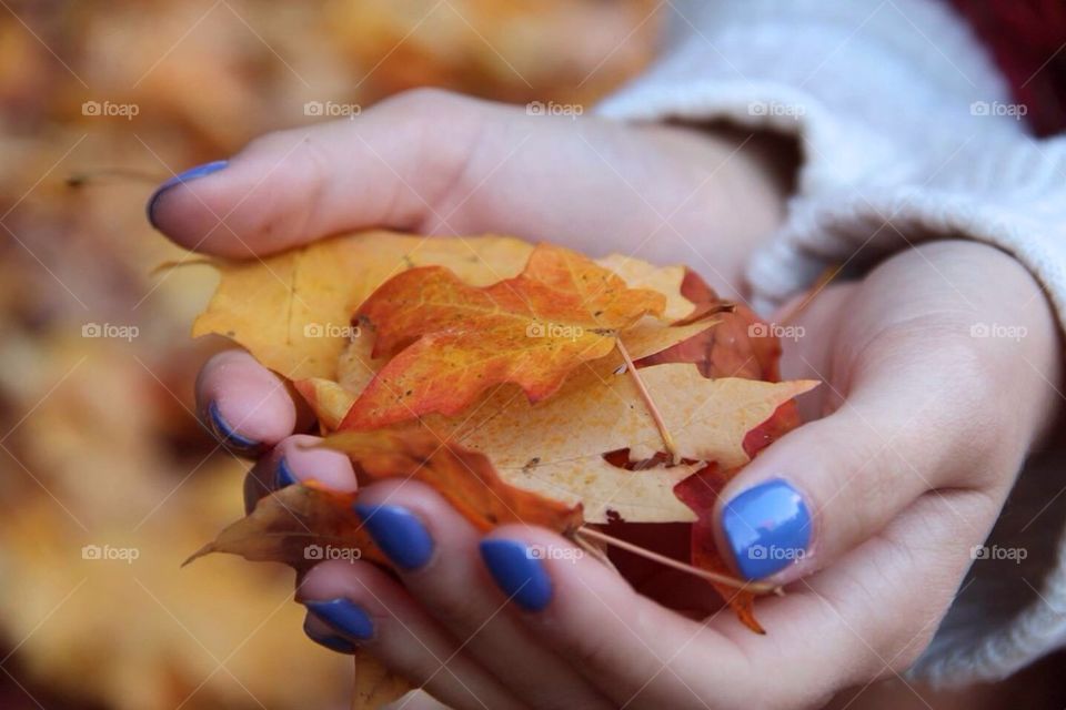 Handful of Leaves