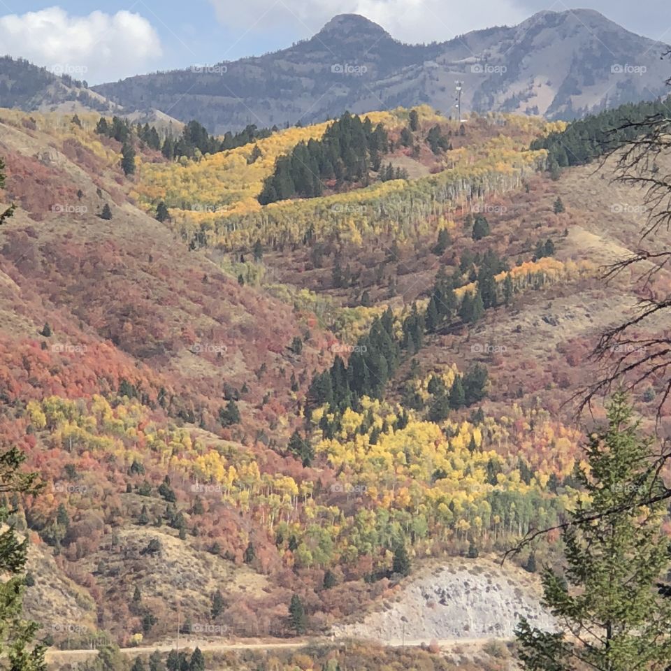 Fall View of Palisades, Idaho