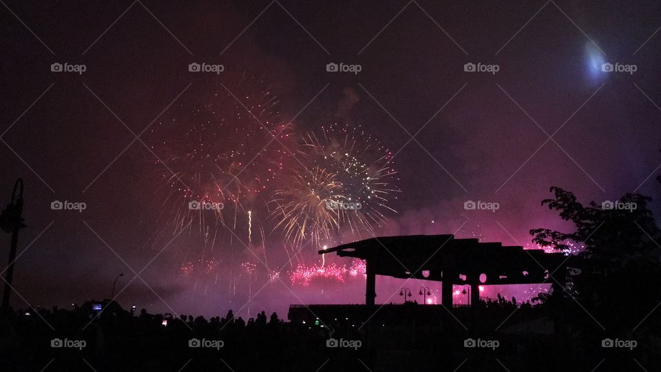 Purple fireworks silhouette 