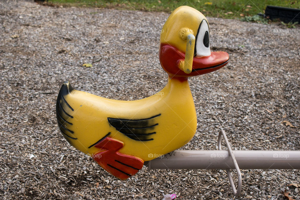 Yellow ducky