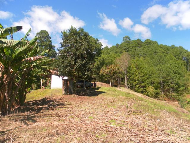 Casa de campo en día despejado 🏡