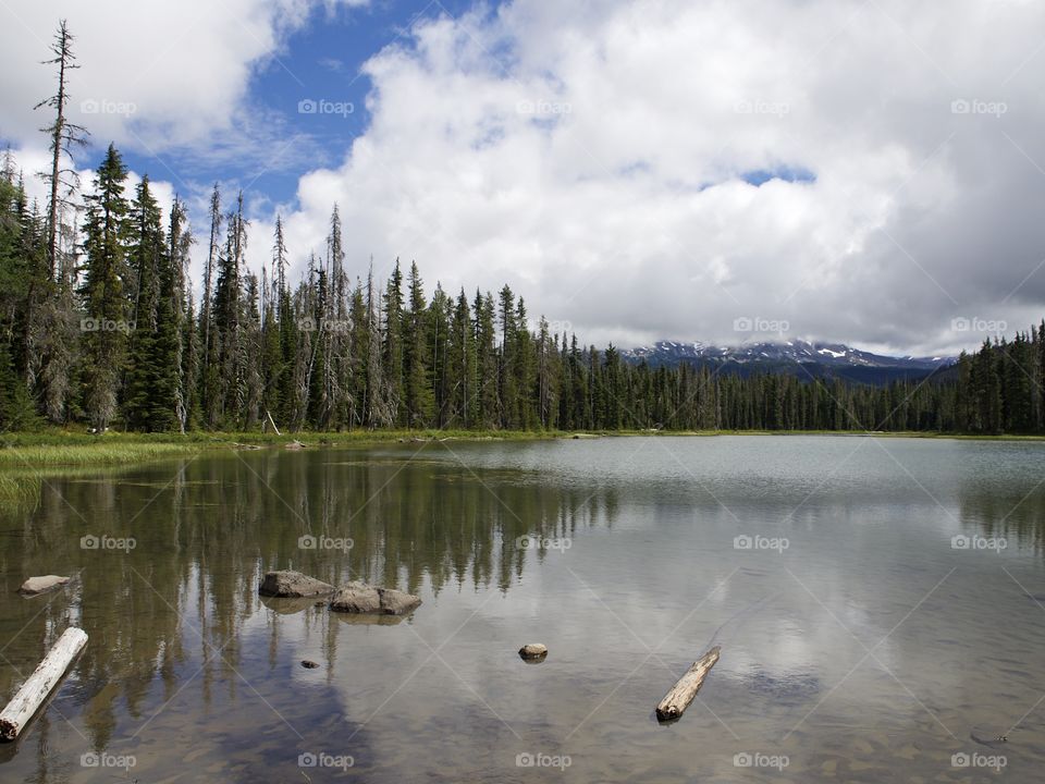 The grassy shoreline of Scott Lake in the mountain forests of Oregon on a summer day.