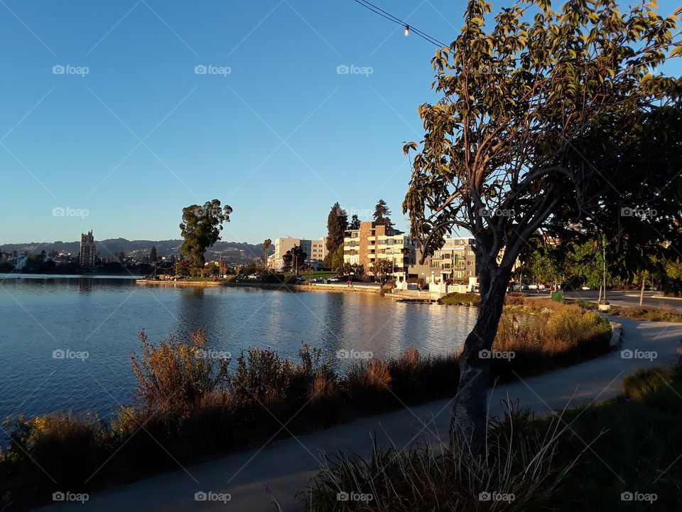 Lake Merritt Oakland