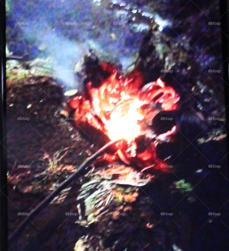 Cold weather is warmer by burning a bonfire, besides warming the body, it can also be used to boil water, it can also burn anything we will eat, besides that to help light up in the dark.