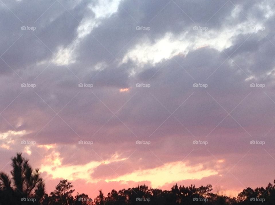 South Carolina Sunset