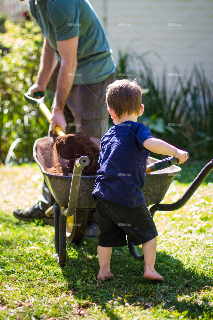 Summer memories gardening with dad. Image of little boy with spade helping dad take soil to the garden.
