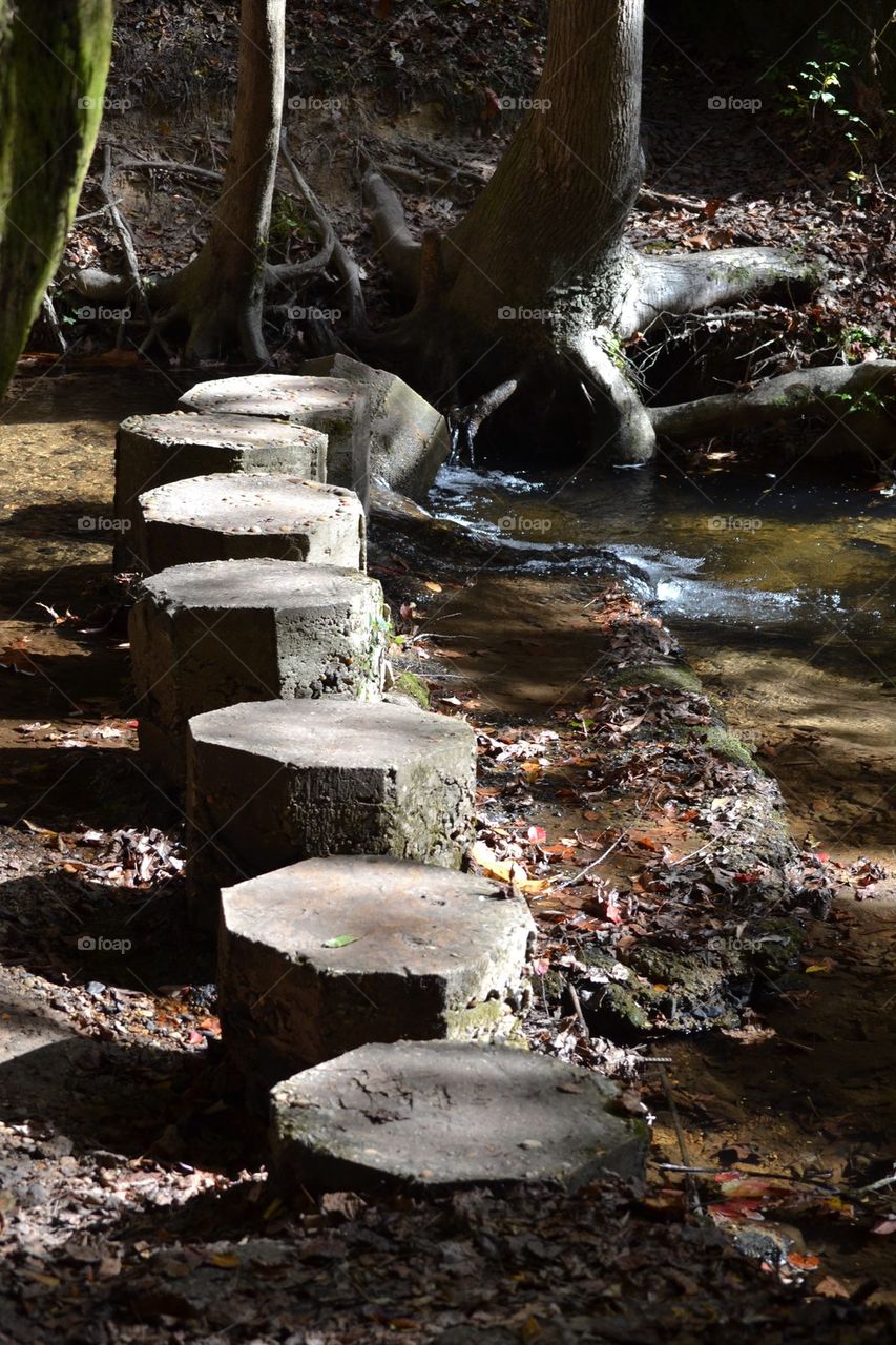 Stepping Stones . Stones across a creek bed in Alabama