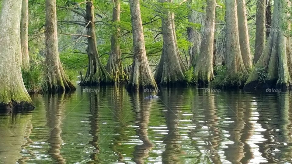 A little close for comfo