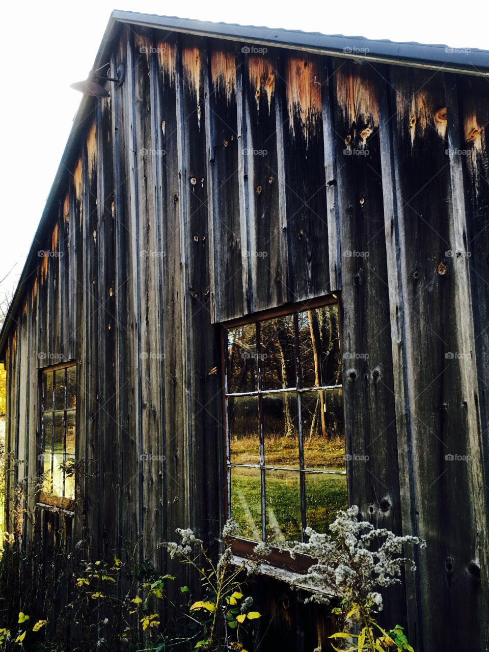 Barn