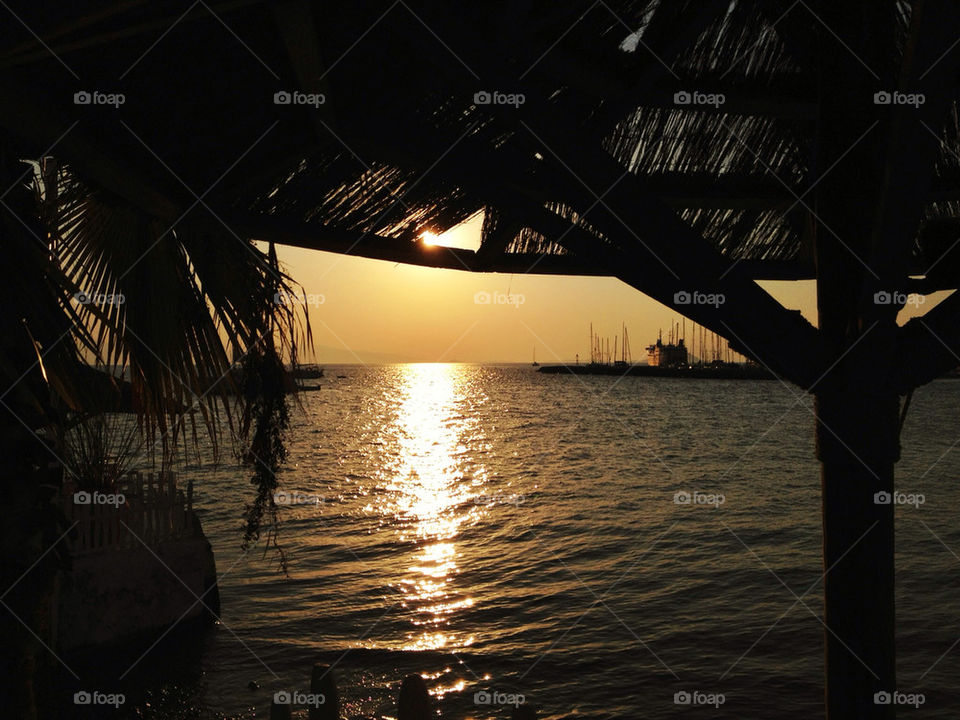 sunset palm vacation sea by mattharrisonnn