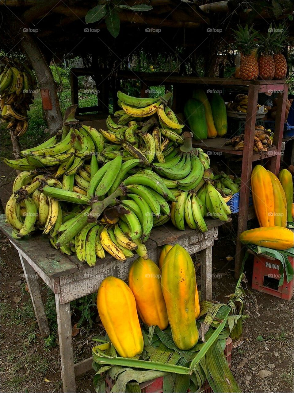 Costa Rica Roadside Fruit Stand