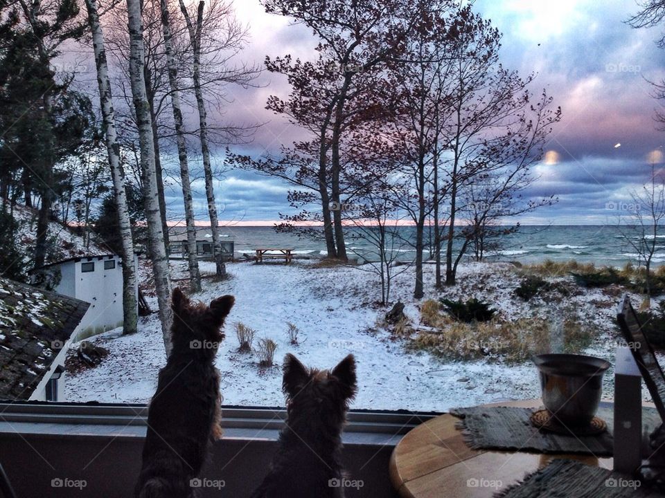 First snow at the lakeshore house