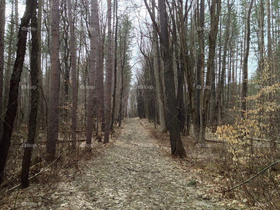 High angle view of hiking trail