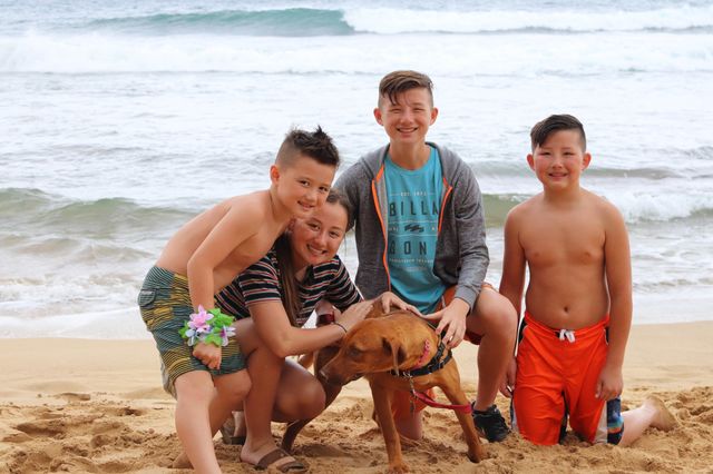 Family dog