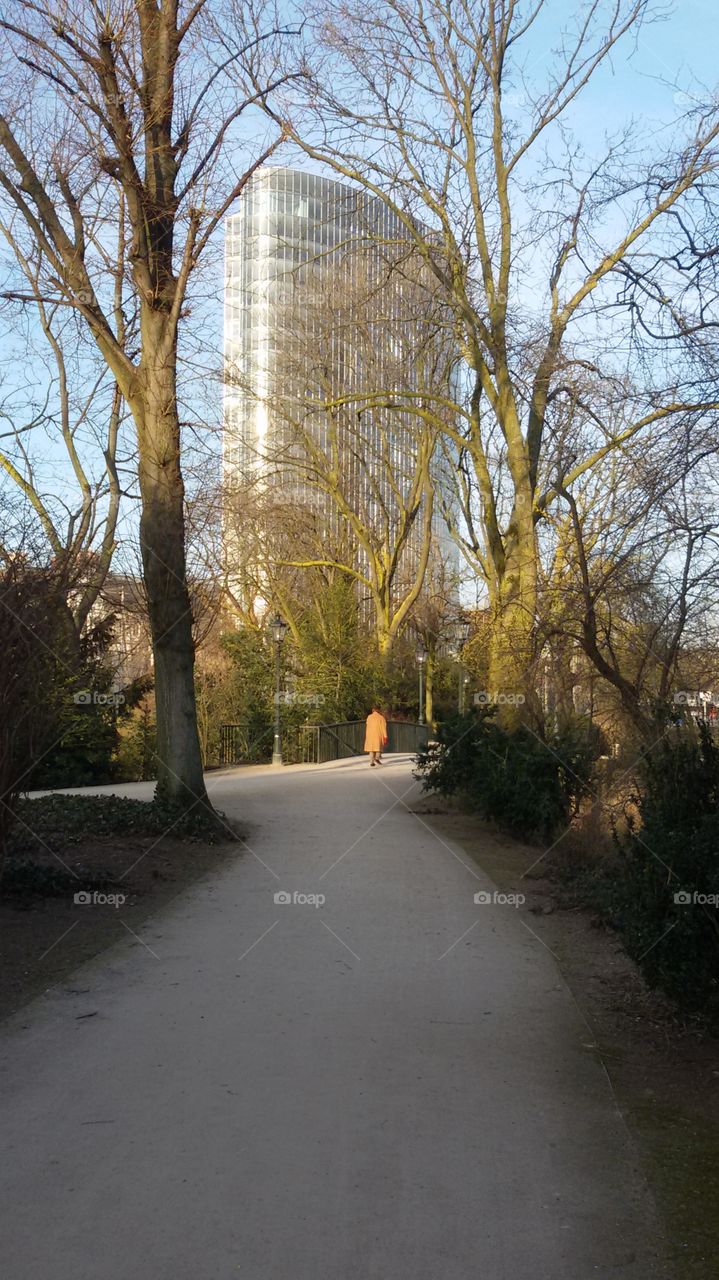 Park in the Düsseldorf city
