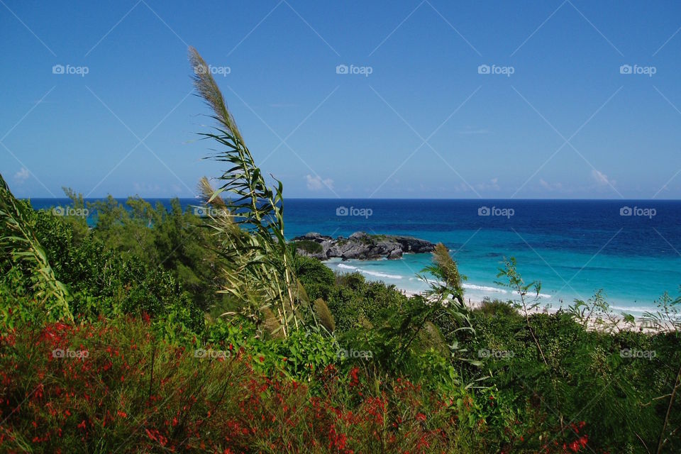 Scenic view of a beach against clear sky