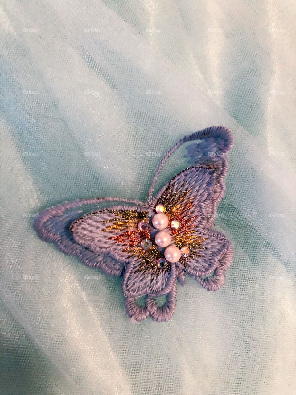 Butterfly Elegance 
