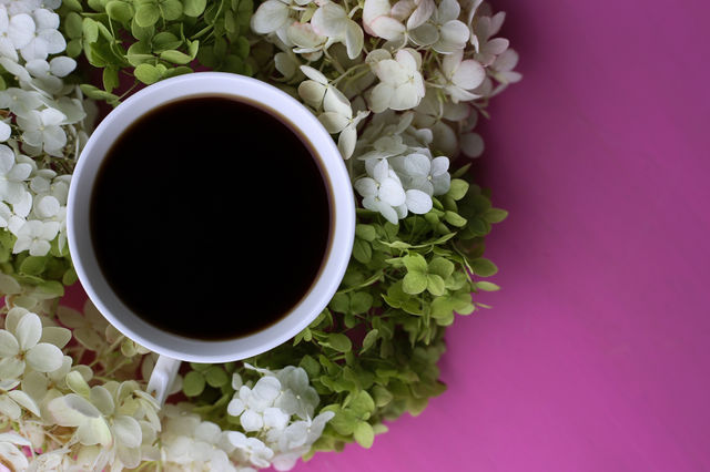 Coffee and flowers 