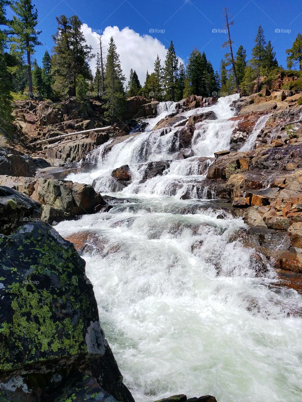 springtime waterfall in the Sierras