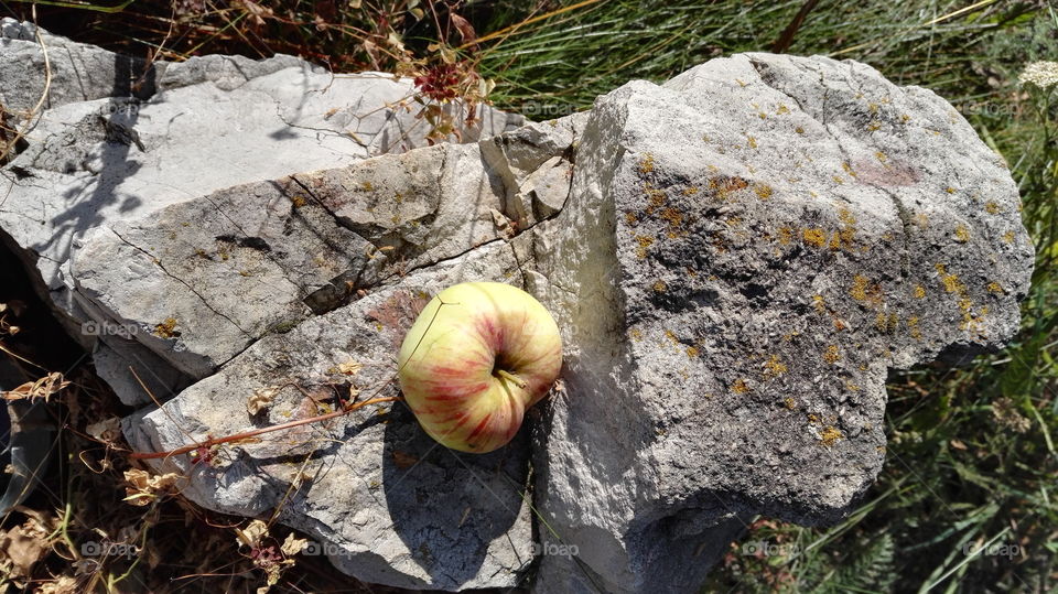 Stone and apple
