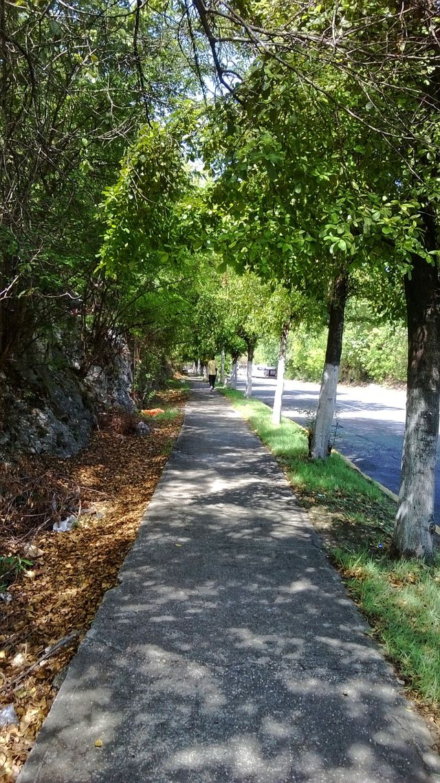 Walking under the Shadows