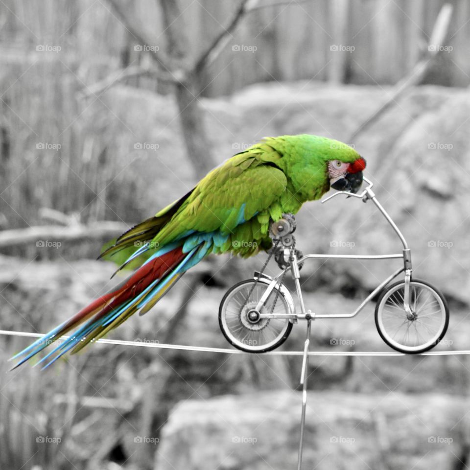 If I can be a biker, you can also be to stay fit