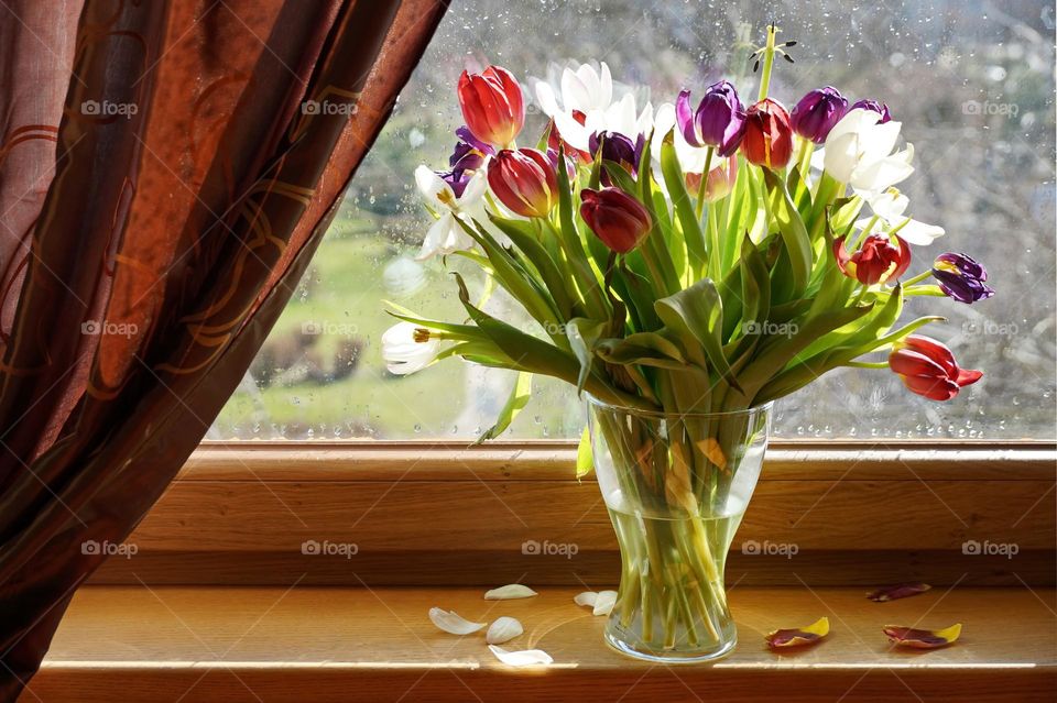 Bouquet of tulips in a vase by the window