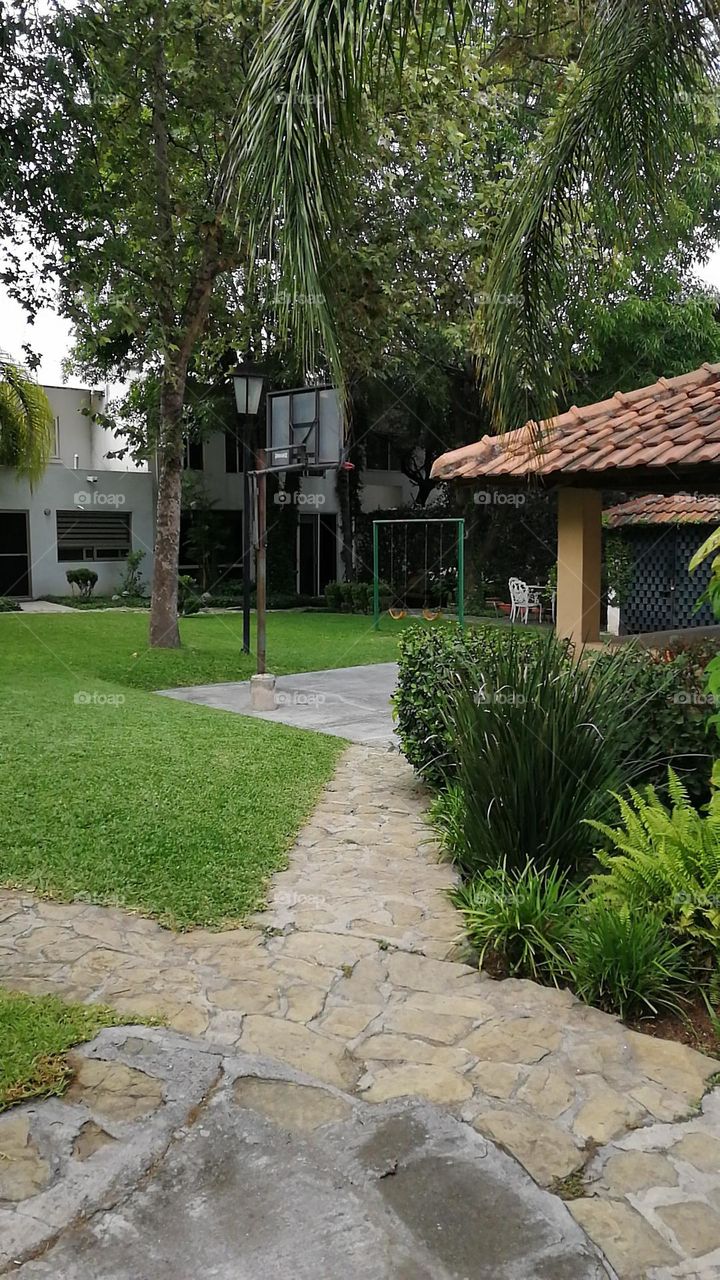 #back yard#grass#yard#peaceful#charming