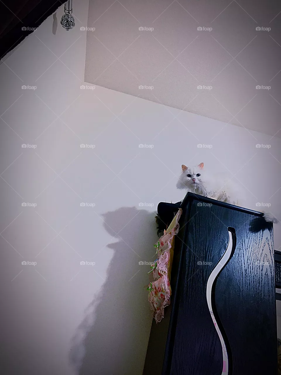 playing with my son 