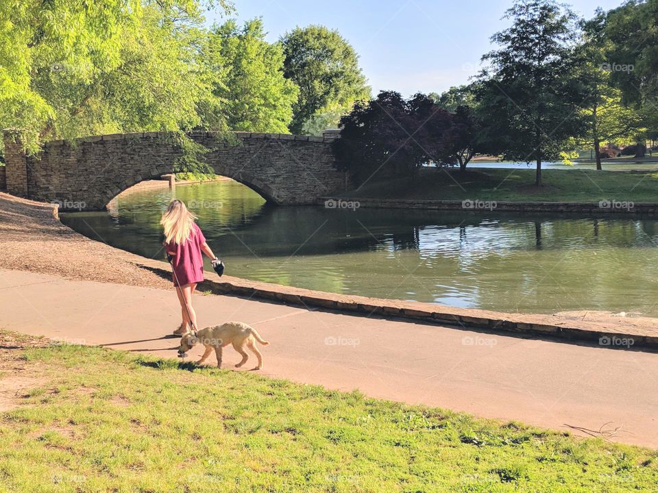 walking dog summer day