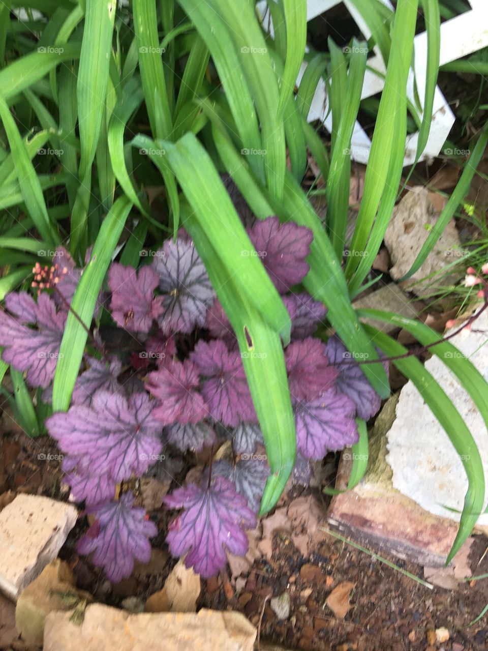 There’s beauty everywhere we just need to open our eyes and look. It’s the simple things.