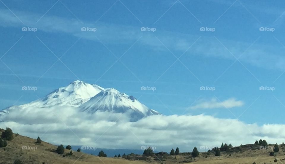 Mount Shasta 