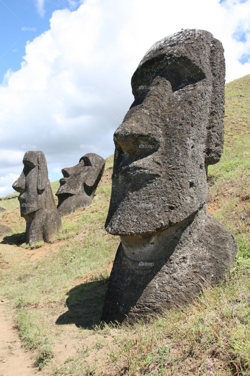 Easter Island, Moa, idols, ancient, history 