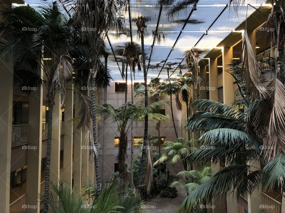 world war z - postapocaliptoc building