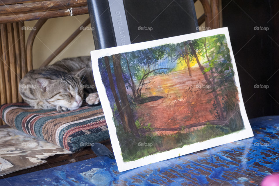 Missy Meow and paintings, are the best way to spend time.